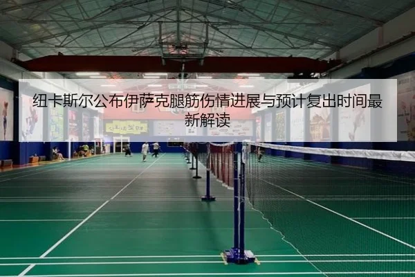 纽卡斯尔公布伊萨克腿筋伤情进展与预计复出时间最新解读