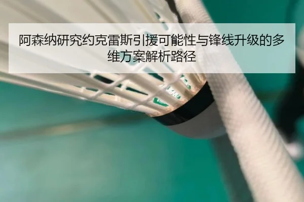 阿森纳研究约克雷斯引援可能性与锋线升级的多维方案解析路径
